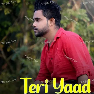 Teri Yaad Cover
