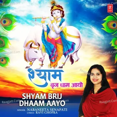 Shyam Brij Dhaam Aayo Cover