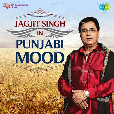 Jagjit Singh in Punjabi Mood Poster