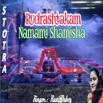 Rani Dubey Image