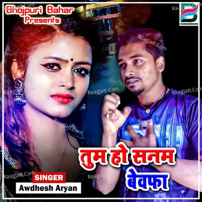 Awdhesh Aryan Image