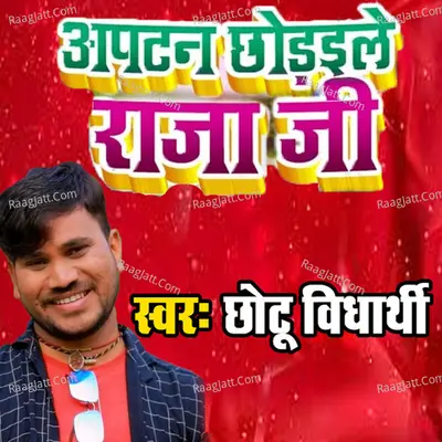 Chhotu Vidyarthi