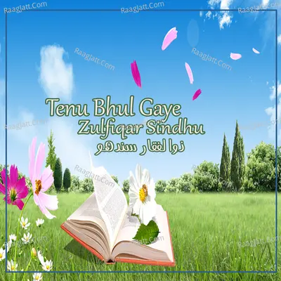 Tenu Bhul Gaye - Zulfiqar Sindhu