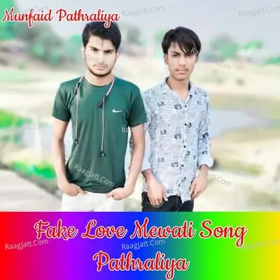Fake Love Mewati Song Pathraliya Cover