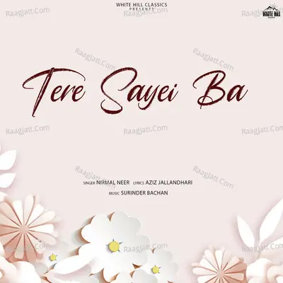 Tere Sayei Ba