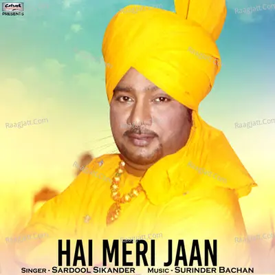 Hai Meri Jaan - Single Cover