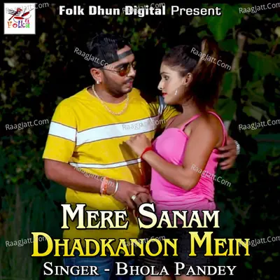 Mere Sanam Dhadkanon Mein Poster
