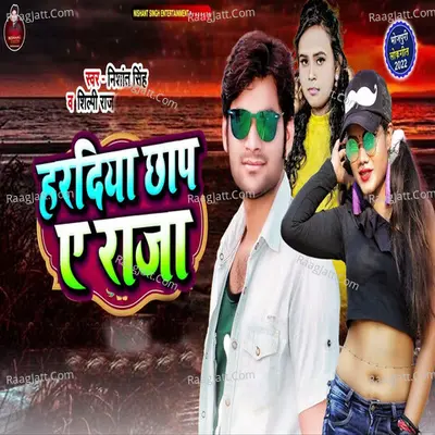 Hardiya Chhap Ae Raja Cover