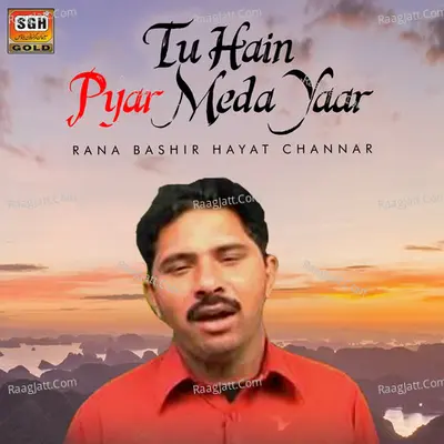 Tu Hain Pyar Meda Yaar Poster