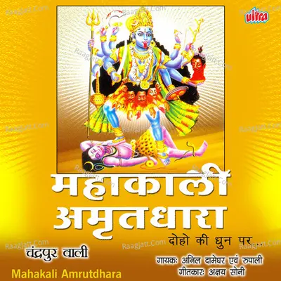 Anil Damedhar Image