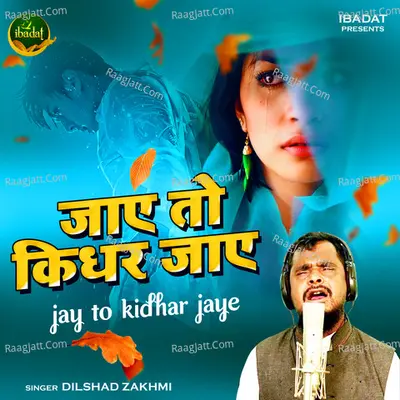Jae To Kidhar Jae Cover
