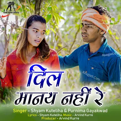 Dil Manay Nahi Re (Chhattisgarhi Song) Cover