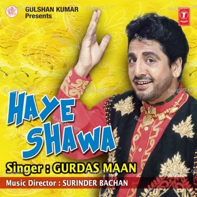 Haye Shawa Poster