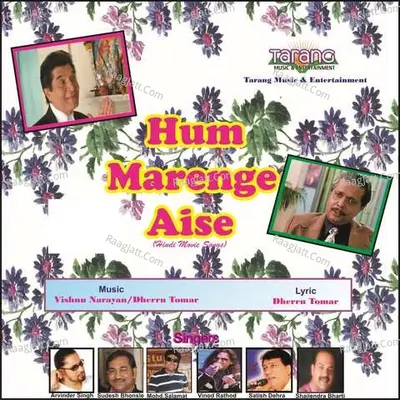 Hum Marenge Aise Poster
