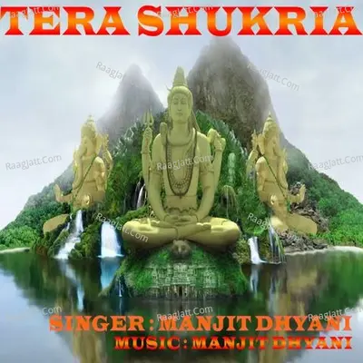 Tera Shukria Cover