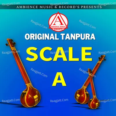 Tanpura A Scale Cover