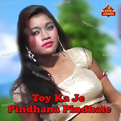 Toy Ka Je Pindhana Pindhale Cover