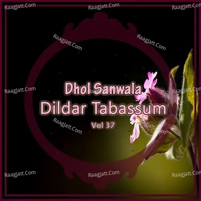 Dhol Sanwala, Vol. 37 Poster