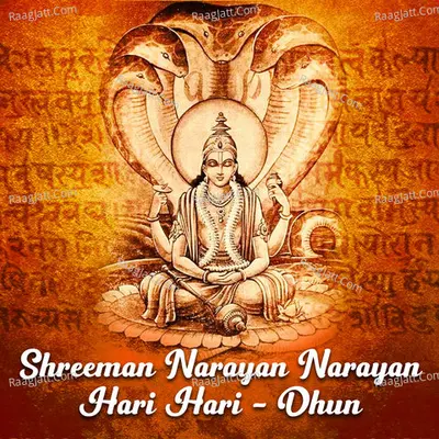 Shreeman Narayan Narayan Hari Hari - Dhun Cover
