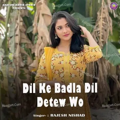 Dil Ke Badla Dil Detew Wo Cover
