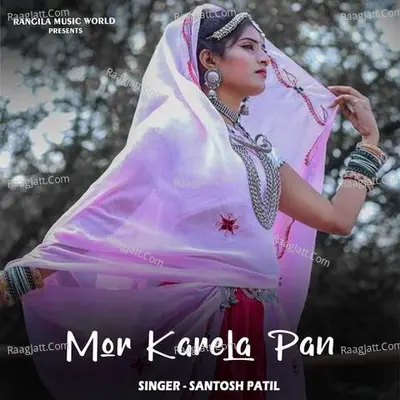 Santosh Patil Image