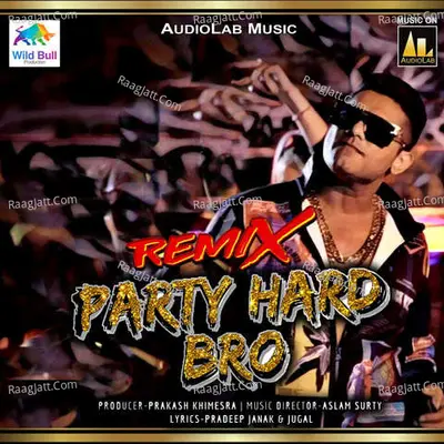 Party Hard Bro Remix Cover