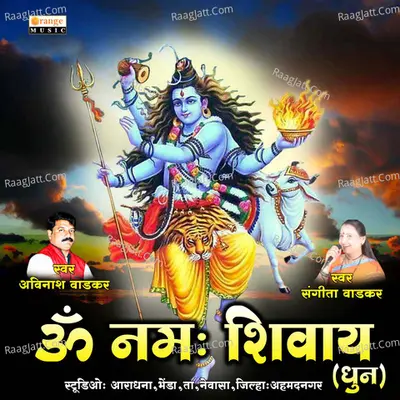 Om Namah Shivay Dhun
