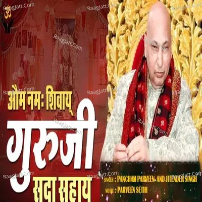 Om Namah Shivaaye Guruiji Sda Sahaye Cover