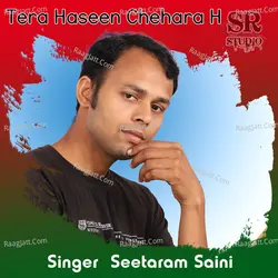 Tera Haseen Chehara H