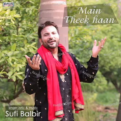 Main Theek Haan Poster