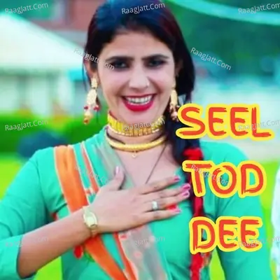 SEEL TOD DEE Cover
