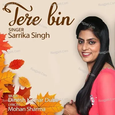 Tere Bin Cover