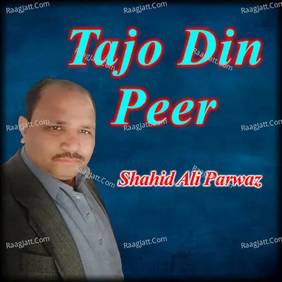 Shahid Ali Parwaz