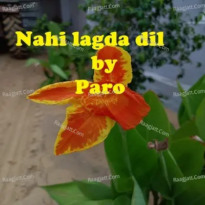 Paro Image