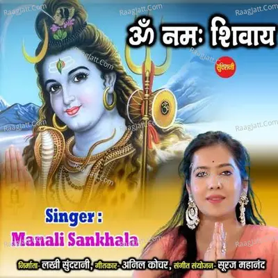 Om Namah Shivay Cover