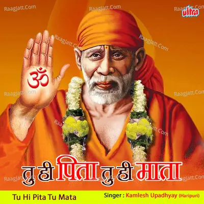 Tu Hi Pita Tu Mata Cover
