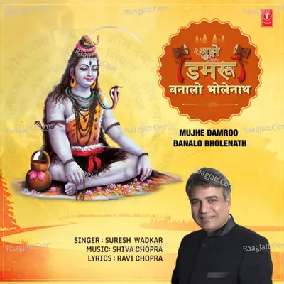 Mujhe Damroo Banalo Bholenath Cover