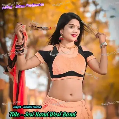 Vishanu Meena