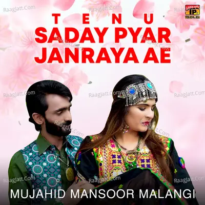 Tenu Saday Pyar Janraya Ae - Single