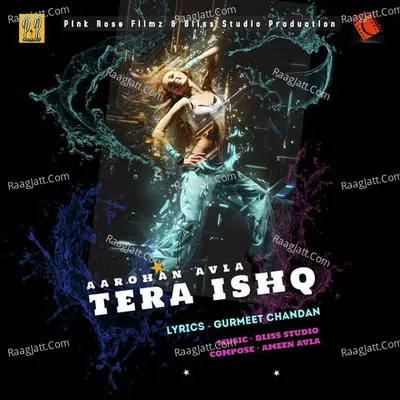 Tera Ishq Cover