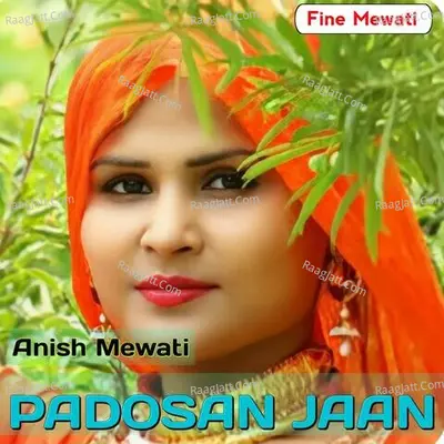 padosan jaan Cover