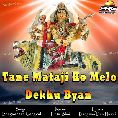 Tane Mataji Ko Melo Dekhu Byan Poster