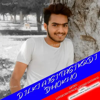 DIL KI AISI TASI KRDI DHOKHO Cover