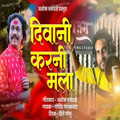 Diwani Karni Mala Cover