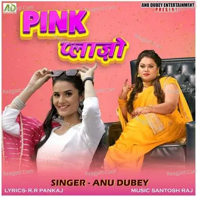 Pink Plazzo Cover