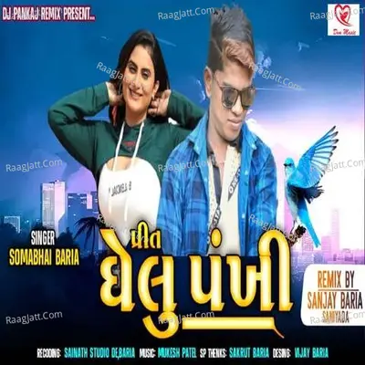 Prit Ghelu Pankhi Poster