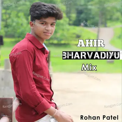 Ahir Bharvadiyu Mix Cover