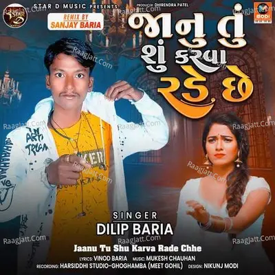 Jaanu Tu Shu Karva Rade Chhe Poster