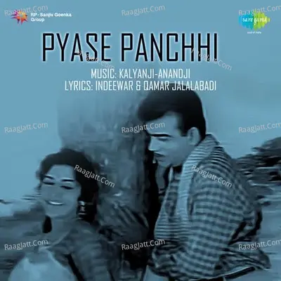 Pyase Panchhi Poster