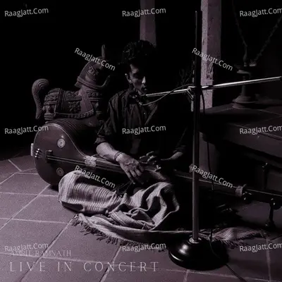 Amrit Ramnath in Concert Poster